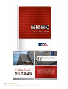 MARKETING PLANS BY RISE DESIGN EXAMPLES_Page_03